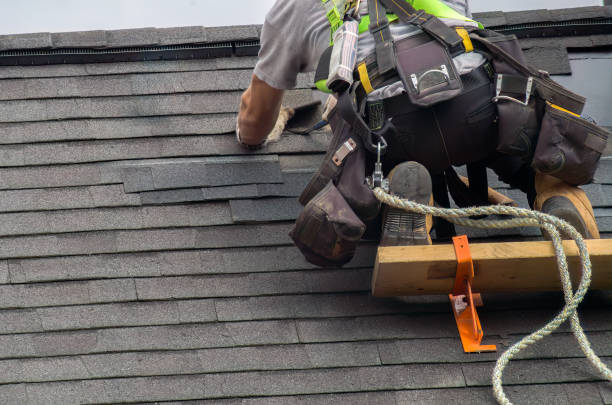 Best Roof Gutter Cleaning  in Lincoln Center, KS
