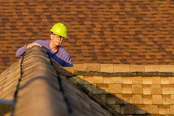 Best Roof Gutter Cleaning  in Lincoln Center, KS